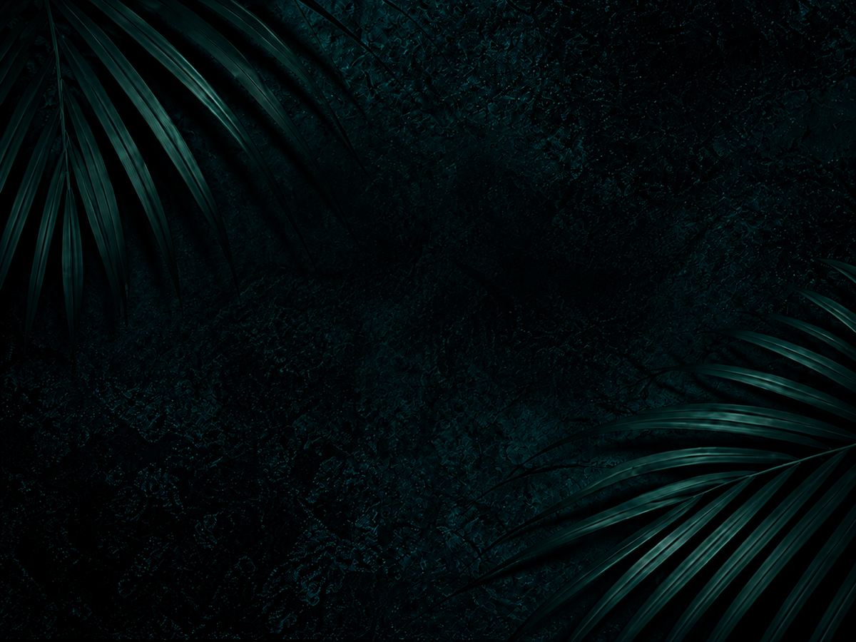 Paradise
